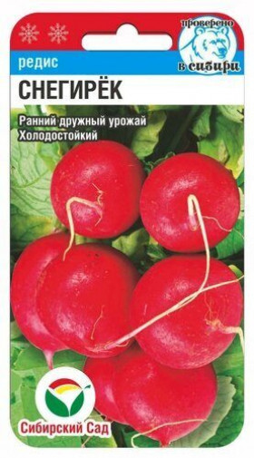 Снегирек 2гр СС