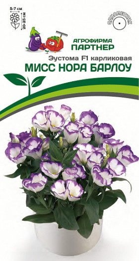 Мисс Нора Барлоу 5шт карлик Партнер