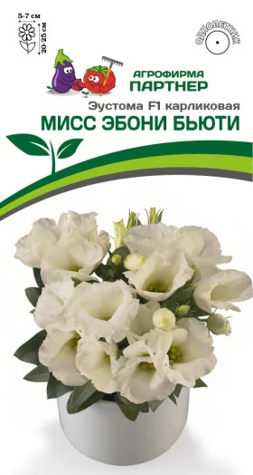 Мисс Эбони Бьюти 5шт карлик Партнер