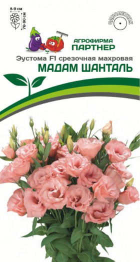 Мадам Шанталь 5шт срезоч махр Партнер