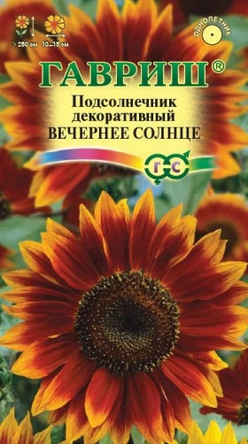 Вечернее солнце Ц(Г)