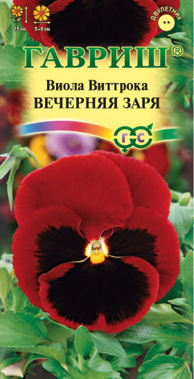 Вечерняя заря Ц(Г)