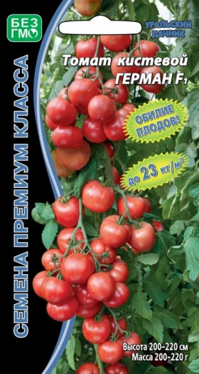 Герман кистевой Ц(УД)