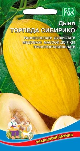 Торпеда Сибирико Ц(УД)