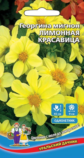 Лимонная красавица Ц(УД)