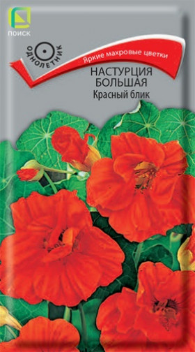 Красный блик Ц(Поиск)