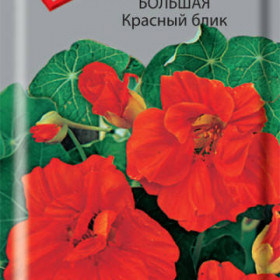 Красный блик Ц(Поиск)