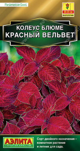 Красный вельвет блюме Ц(А)