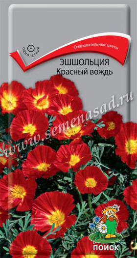 Красный вождь Ц(Поиск)