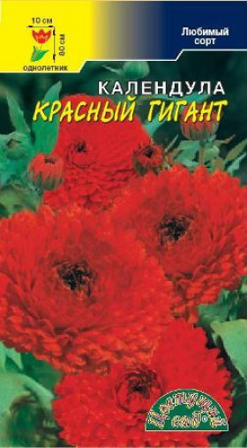 Красный гигант махровый/Цветущий Сад