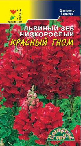 Красный гном/Цветущий Сад