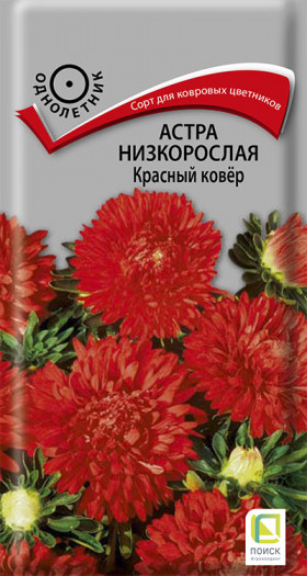 Красный ковер низкорослая Ц(Поиск)