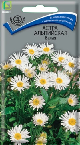 Альпийская Белая Ц(Поиск)