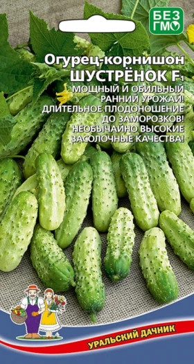 Шустренок Ц(УД)