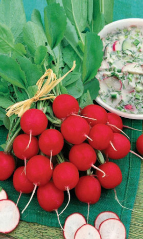 Летняя окрошка Ц(УД)