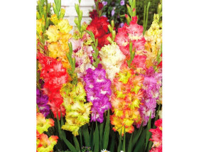 Россия Лайн Смесь 7шт