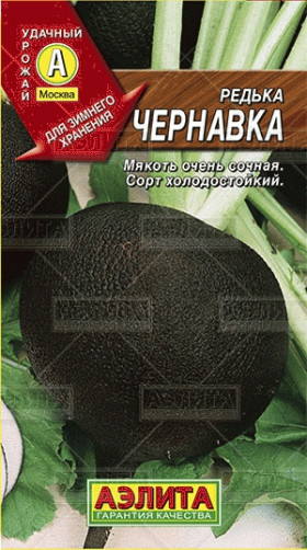 Чернавка Ц(А)