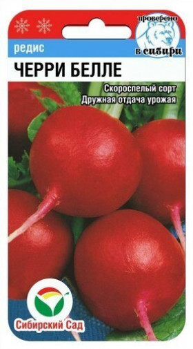 Черри белле СС