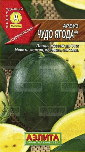 Чудо ягода Ц(А)