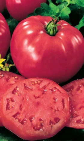 Суперсладкое чудо Ц(УД)