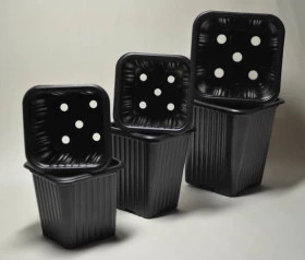 Квадратный 7х7х8см V 0,25л\3300шт  формованныйчерный