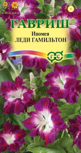 Леди Гамильтон махровая Ц(Г)