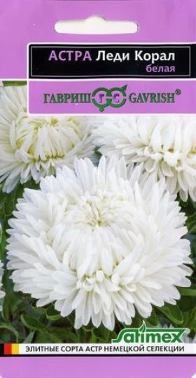 Леди Коралл Белая Ц(Г)