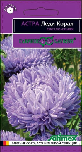 Леди Коралл Светло-синяя Ц(Г)