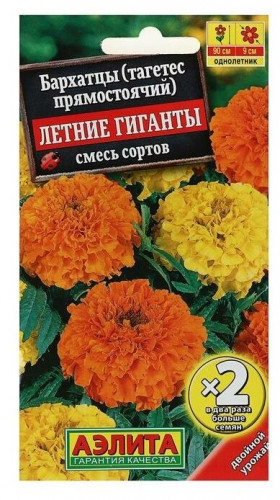 Летние гиганты Ц(А)*2