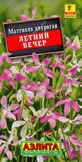 Летний вечер Ц(А)*2