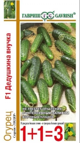 Дедушкина внучка 1+1 Ц(Г)