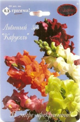 Львиный зев Карусель смесь Каприс
