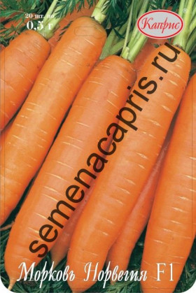 Морковь Норвегия Каприс