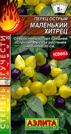 Маленький хитрец острый Ц(А)