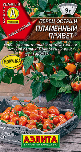 Пламенный привет острый Ц(А)