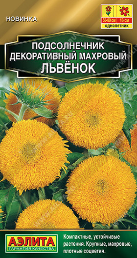 Махровый Львенок Ц(А)