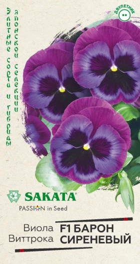 Барон Сиреневый Ц(Г)