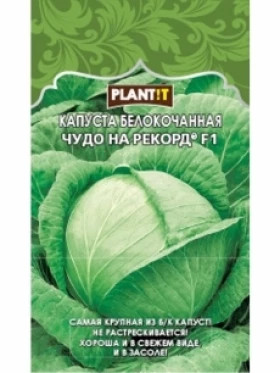Капуста Чудо на рекорд б/к Plantit