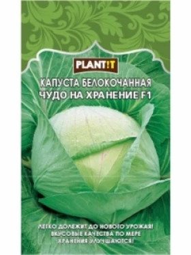 Капуста Чудо на хранение б/к Plantit