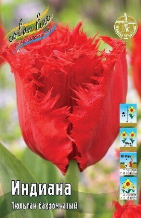 Индиана 11/12 (бахр.) 7шт