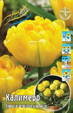 Калимеро 10/11 (махр.ранн.) 8шт