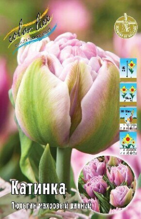 Катинка 11/12 (махр.ранн.) 7шт