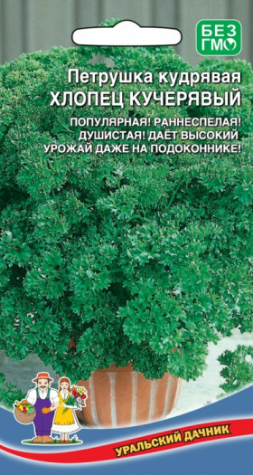 Хлопец Кучерявый кудрявая Ц(УД)