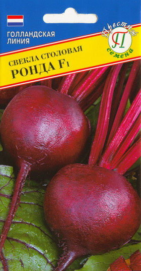 Ронда 1гр.Ц(П)