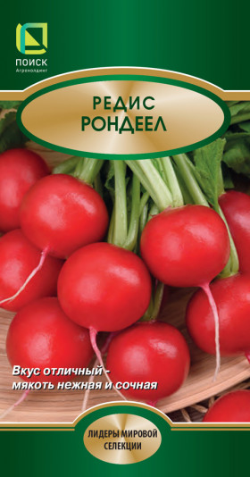 Рондеел Ц(Поиск) 2г