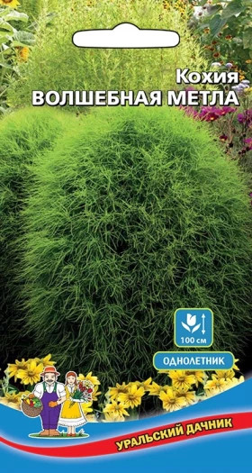 Волшебная Метла Ц(УД)