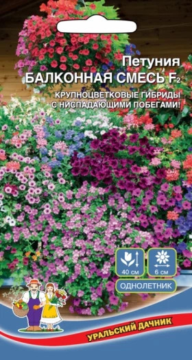 Балконная смесь Ц(УД) петуния