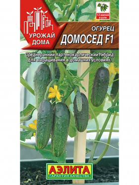 Домосед F1 Ц(А)