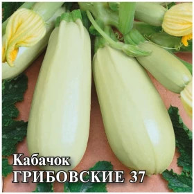 Грибовские 37 25гр Гавриш