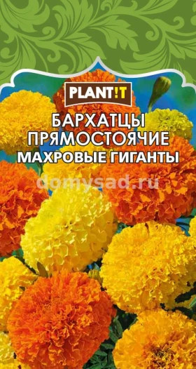 Бархатцы Махровые гиганты прямостоячие Plantit